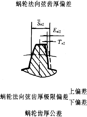 平面二次包絡環面蝸杆傳動精度蝸杆、蝸輪誤差的定義及代号